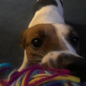 Meet your Posher, Mallory